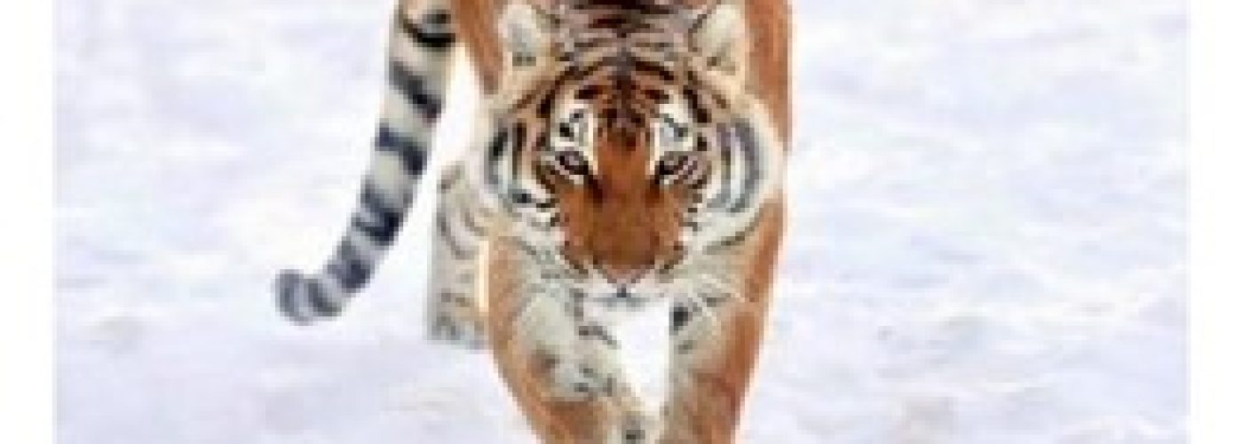 Picture2